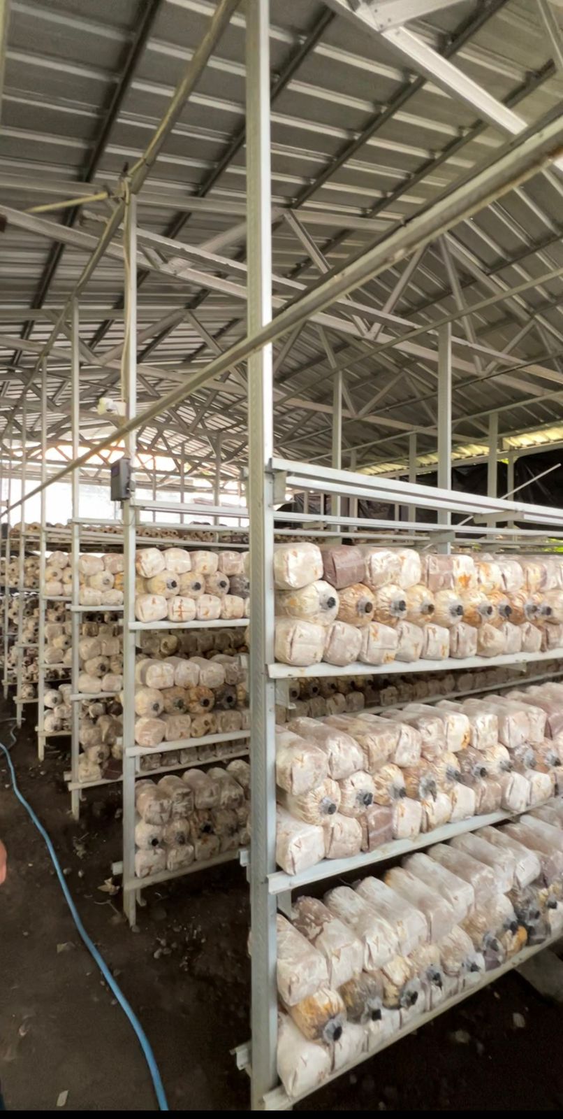 Growmatic System View